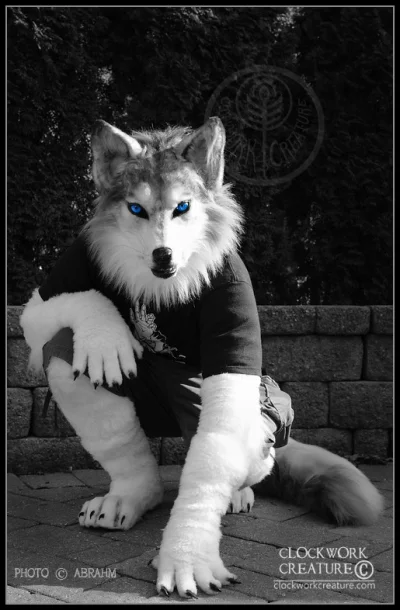 w.....4 - #furry #fursuit