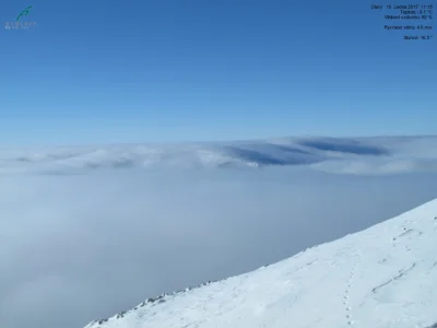 KaznodziejaNowejEry - Kamera na Śnieżce jest teraz prawie idealnie na wysokości chmur...