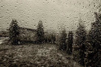 kopek - 53/365 Deszczowa mozaika 

FB

#kopekfoto 
#fotografia #tworczoscwlasna ...