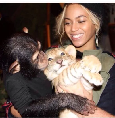 Splendor - Zobaczcie jak JayZ i Beyonce troszczą się o lwiątko. Słodkie.



#heheszki...