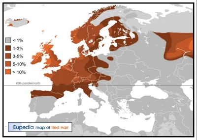 bitcoholic - Występowanie rudzielców* w Europie #mapa #mapy #mapporn #ciekawostki 

...