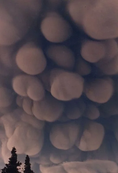 kono123 - Chmura Mammatus 

SPOILER

#ciekawostki #chmury #natura