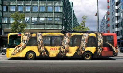 MusicURlooking4 - #zoo w #krakow mogłoby się tak zareklamować na autobusach i tramwaj...