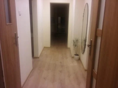 IceShandy - Kiedy uświadamiasz sobie ,że twój przedpokój ma więcej metrów niż pokój Z...