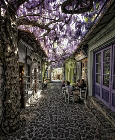 r.....7 - Magiczna ulica kwiatów w Grecji.
Autor zdjęcia: Costas Stamatellis

#zdj...