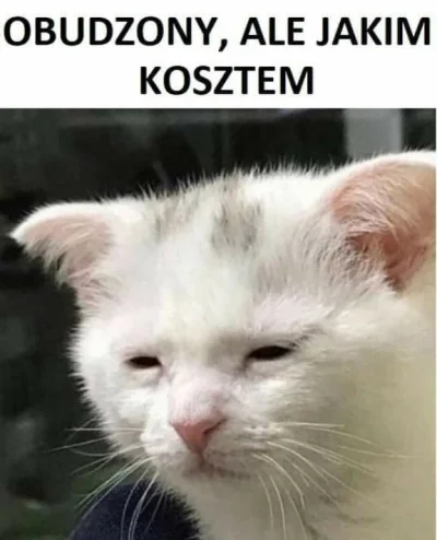 Kruchevski - Chodzący mem