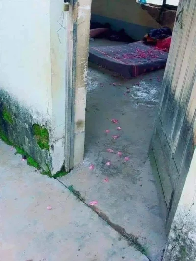 PanMaglev - Myślicie, że będzie zadowolona.