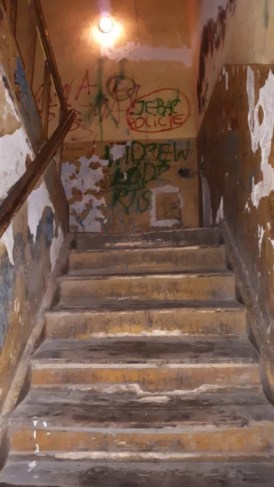 d601 - @MojszeZimmerman schody są drewniane