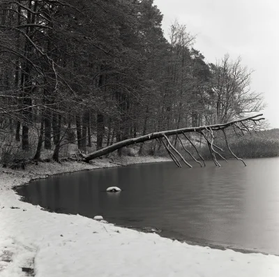 ComboBreaker - #fotografiaanalogowa #fotografia #hasselblad #zima #snieg #krajobraz