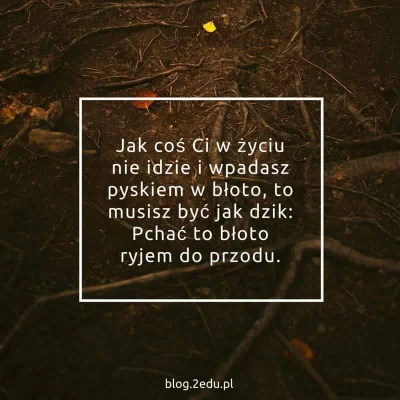 Dominini - #cytatywielkichludzi #protip #takaprawda #heheszki