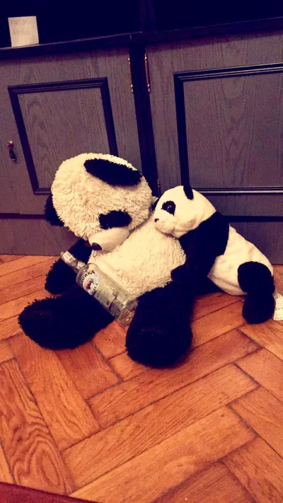 muuuody - Pijane pandy mówią wam dzień dobry!
#panda #zwierzeta #alkohole