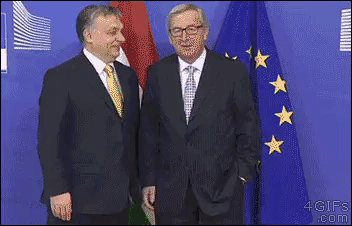 Zdejm_Kapelusz - #gif #polityka #brexit