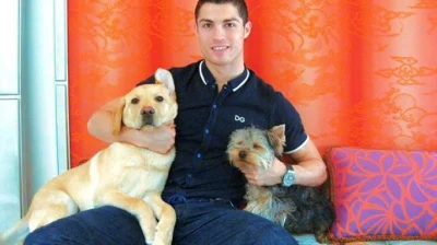 chcemiecpsa - dzien 6. dlatego ze Ronaldo ma dwa psy, to dla mnie nie starczyło na an...