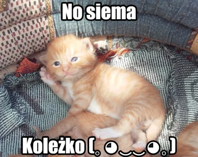 WuDwaKa - @sdt: (⌐ ͡■ ͜ʖ ͡■)