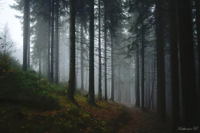 momo94 - W ten mroczny, burzowy wieczór, częstuje was drogie Mirki i Mirabelki mroczn...