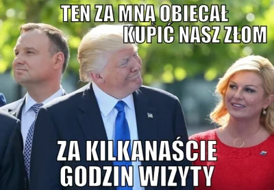 P.....7 - Elity polityczne Wschodniej Flanki NATO szaleją ze szczęścia bo Prezydent U...