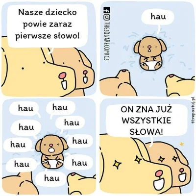 Lapidarny - #humorobrazkowy #humor #heheszki #zwierzaczki #zwierzeta #smiesznypiesek