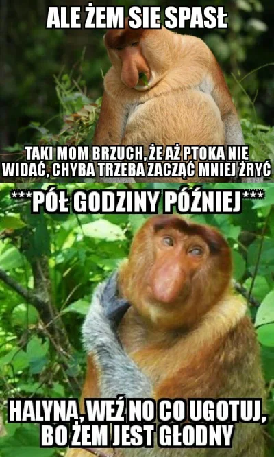 wlepierwot - #polak #gownowpis #suchar #heheszki #humorobrazkowy #nosaczsundajski