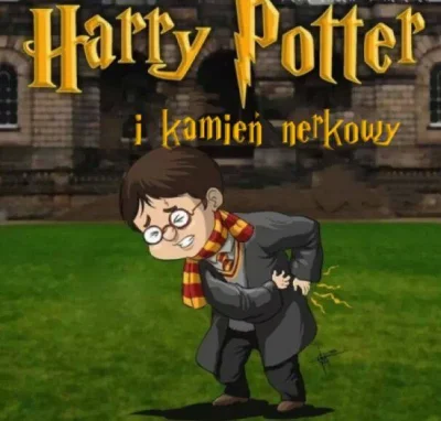 XsomX - #harrypotter #prawdziwezycie #humorobrazkowy