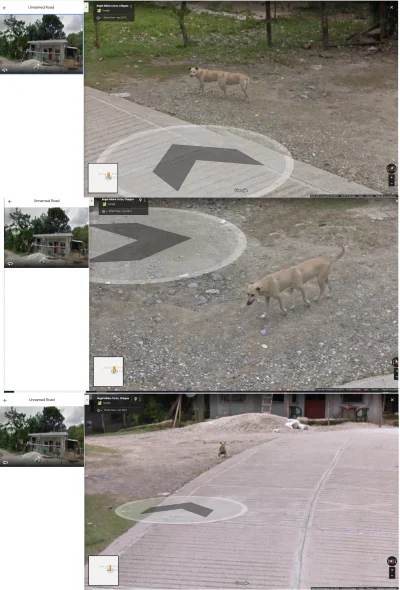 GhostxT - #smiesznypiesek #czarnobyl #heheszki #googlemaps