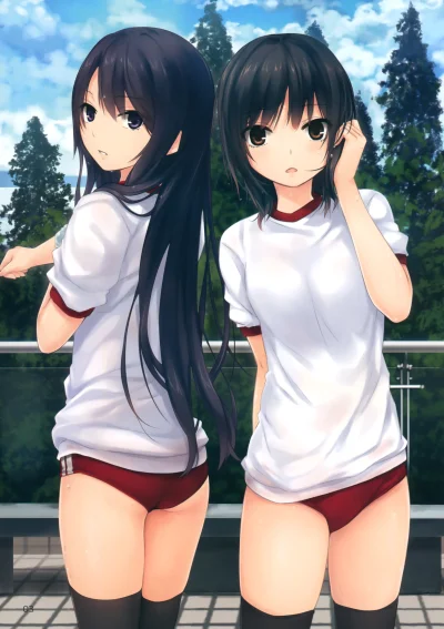 Meister431 - #randomanimeshit #swimsuit #originalcharacter #aoyamasumika #shiramineri...