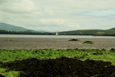 Gummidge - Fionn Tra Bay Beach Co. Kerry Irlandia

#fotografia #mojezdjecie #irland...