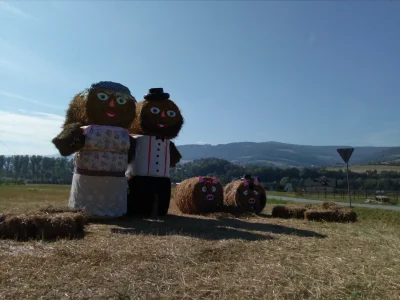 myrmekochoria - Reklama dożynek u mnie na wsi. W komentarzu zbliżenie na świnki.

#...