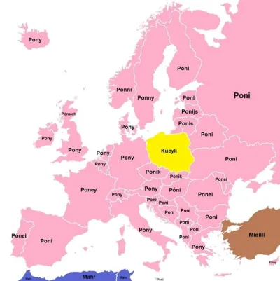 arturo1983 - Słowo "kucyk" w poszczególnych państwach europejskich. Polacy nie gęsi i...