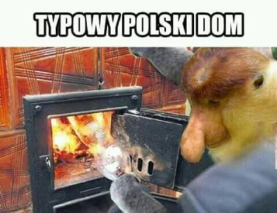 takiartur - #humorobrazkowy #testoviron #polak #smog