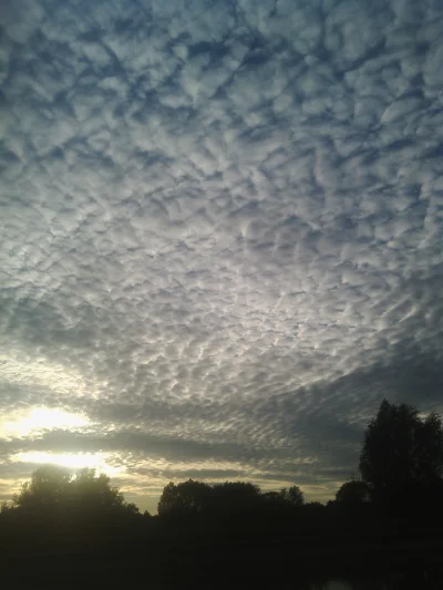Powuyo - #poznan ma ladne niebo 
#jak sie nazywajo? #chmury #sky #niebo
