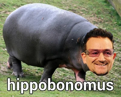 gizio46 - Bono był widziany w zoo
#topwszechczasow