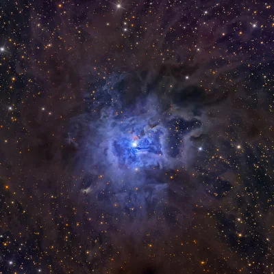 s.....w - Mgławica refleksyjna Irys (NGC 7023), rozświetlona promieniowaniem centraln...