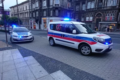 grishko - 6 sierpnia 2019, Bielsko-Biała, ul. 3 Maja, godz. 19.40 - Bielscy policjanc...
