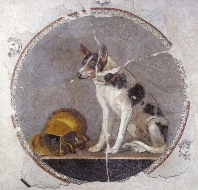 sponge - Egipska mozaika z psem i strąconą wazą. Mina mówi sama za siebie. I wiek p.n...