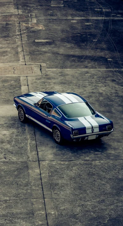 D.....k - Ford Mustang GT350

#tapetydorka #carboners #samochody

#zastepcadorka - su...