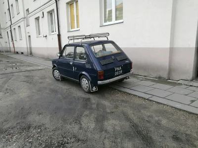 swecymjeplendzo - Patrzcie jakiego sztosa trafiłem. Pogadałem chwilę z właścicielem (...