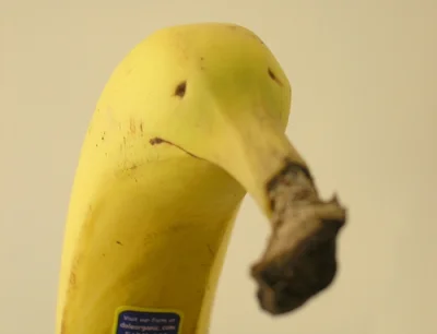 nacodybiewwielorybie - #humor #heheszki Smutny banan.