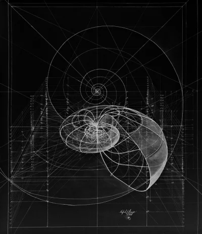 misja_ratunkowa - #geometria #zlotypodzial #grafika
