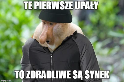 d.....d - @Yrrrr: przypomniał mi się ten mem, jak 2 dni temu szedłem na spacer z pies...