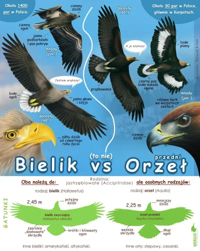 Lifelike - #przyroda #biologia #ornitlogia #ptaki #ciekawostki