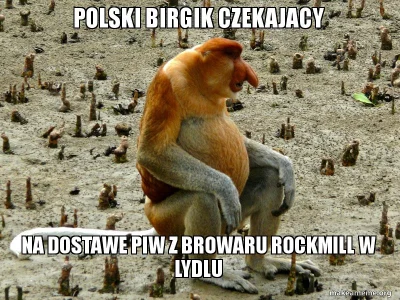 makapakaninja - #heheszki #browarhipster #piwowarstwo #Rockmill #lidl