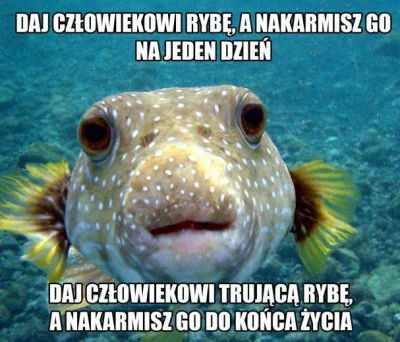 W.....r - #heheszki #humorobrazkowy #takaprawda