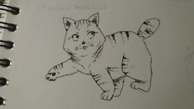 zuzannagryzmoli - Dziś #inktober na szybko, mały american bobtail. Miłego piąteczku 乁...