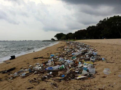 d.....n - #ekologia #plastik #morze

Zastanawia mnie jak to jest, że ludzie bardzo ...