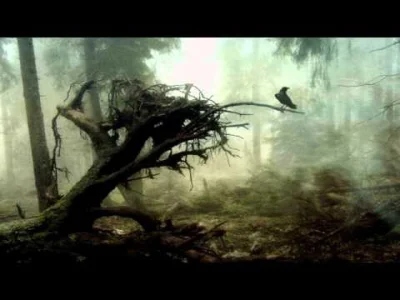 S.....7 - Kinstrife & Blood - Grey Lands 

#muzyka #blackmetal #dobranoc
