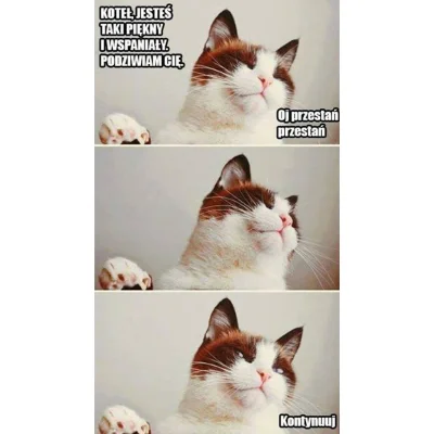 Gio - #koty #heheszki #humorobrazkowy 
ᕙ(⇀‸↼‶)ᕗ