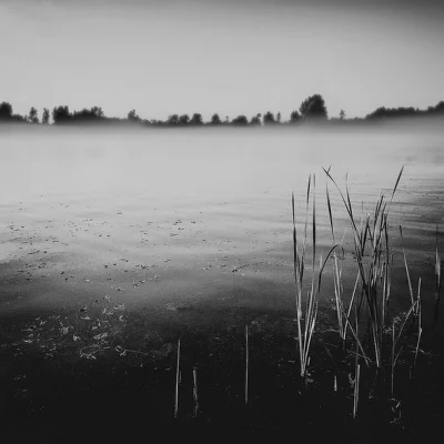 C.....n - Mglisty set, pic. 7



#crimenset #ciekawezdjecia #mgla #fog #lake