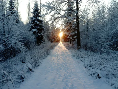 Mjut_Spadziowy - Dajcie już zimę
#bojowkazimy #fotografia