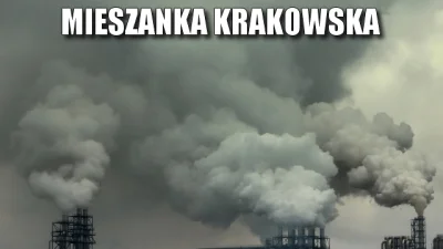 a.....e - #heheszki #krakow #smog