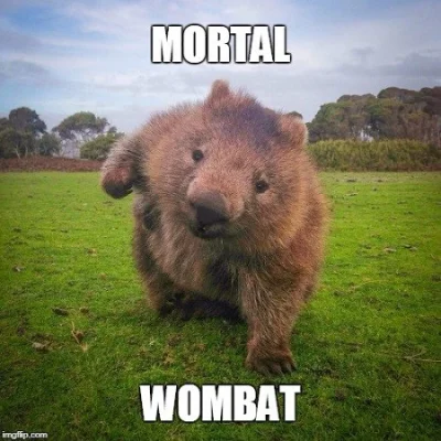 Maaska - (✌ ﾟ ∀ ﾟ)☞

#heheszki #zwierzaczki #smiesznypiesek #wombat